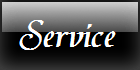 SERVICE
