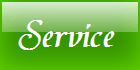 SERVICE